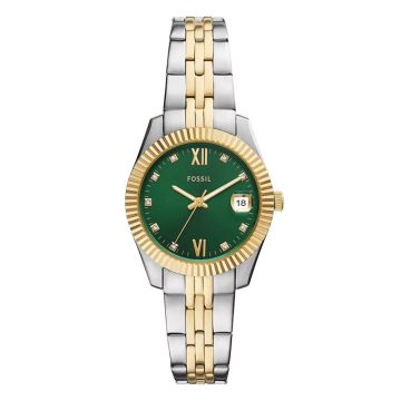 Fossil Scarlette