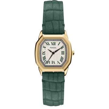 Fossil Harlow