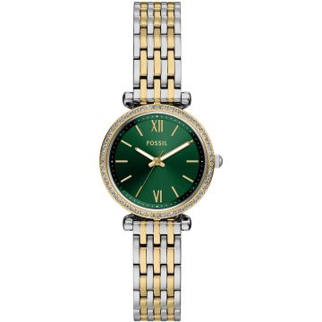 Fossil Carlie