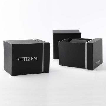 Citizen Zenshin 60