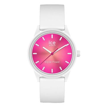 Ice-Watch Solar Power Coral Reef