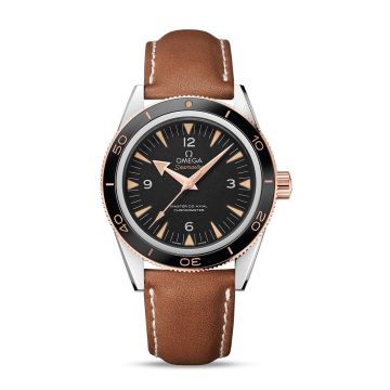Omega Seamaster 300 Master Co-Axial Steel Stainless Steel / Sedna Gold / Strap