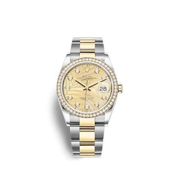Rolex Datejust 36 Stainless Steel  - Yellow Gold - Diamond / Champagne - Palm - Diamond / Oyster