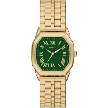 Fossil Harlow