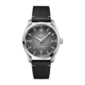 Omega Railmaster Omega Co-Axial Master Chronometer 38 Stainless Steel / Grey Gradient
