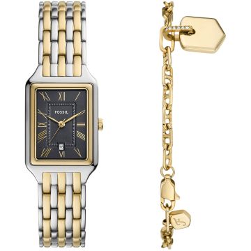 Fossil Raquel Two-tone / Grey Set
