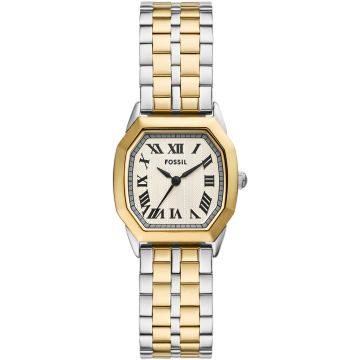 Fossil Harlow
