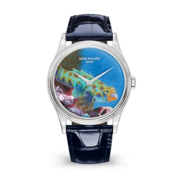 Patek Philippe Calatrava 5177G Italian Scenes / Tropical Fish