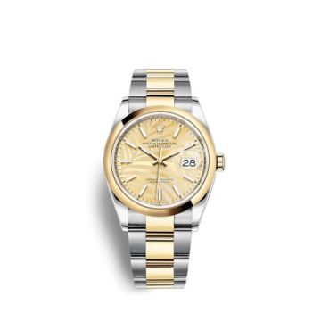 Rolex Datejust 36 Stainless Steel / Yellow Gold / Smooth / Golden Palm / Oyster