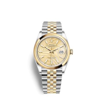 Rolex Datejust 36 Stainless Steel / Yellow Gold / Smooth / Golden Palm / Jubilee