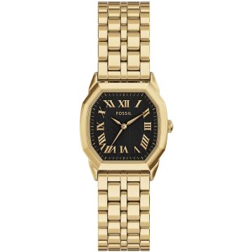 Fossil Harlow